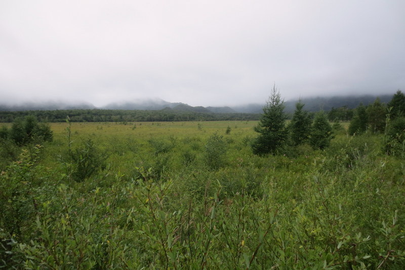 f0224506_22091738.jpg