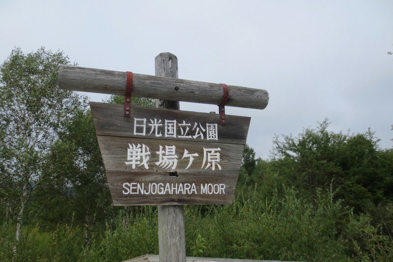 f0224506_22093790.jpg