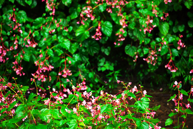 a0263109_10512676.jpg