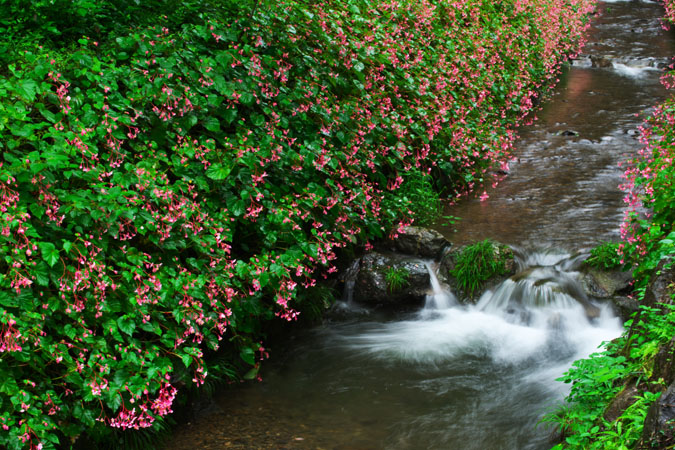 a0263109_1054665.jpg