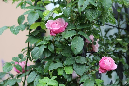 f0325309_15074428.jpg