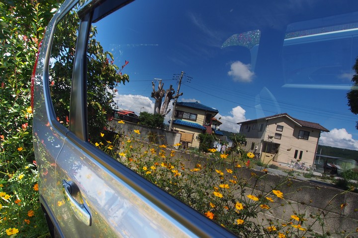 a0268412_2155589.jpg