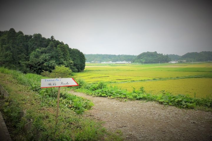 a0166324_1838411.jpg