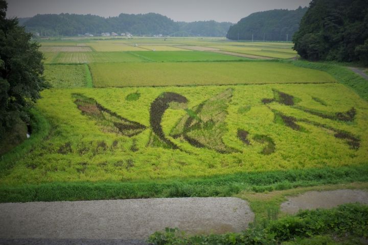 a0166324_1935506.jpg