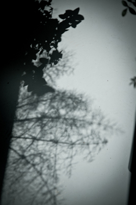 f0119425_10471787.jpg