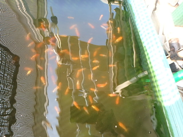 f0334143_18535373.jpg
