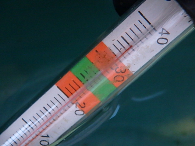 f0334143_18541610.jpg