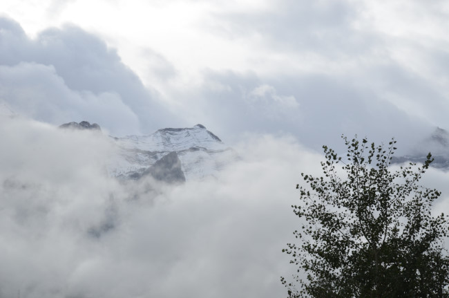 d0002247_83227.jpg