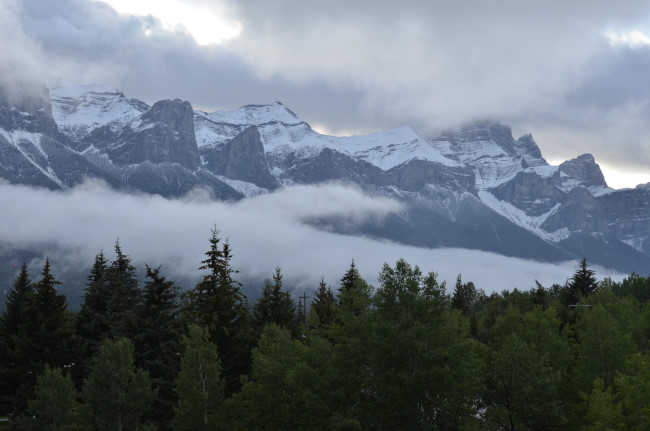 d0002247_8354217.jpg