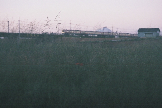 e0284355_21000945.jpg