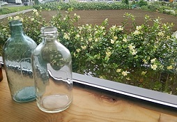 f0130259_1243507.jpg