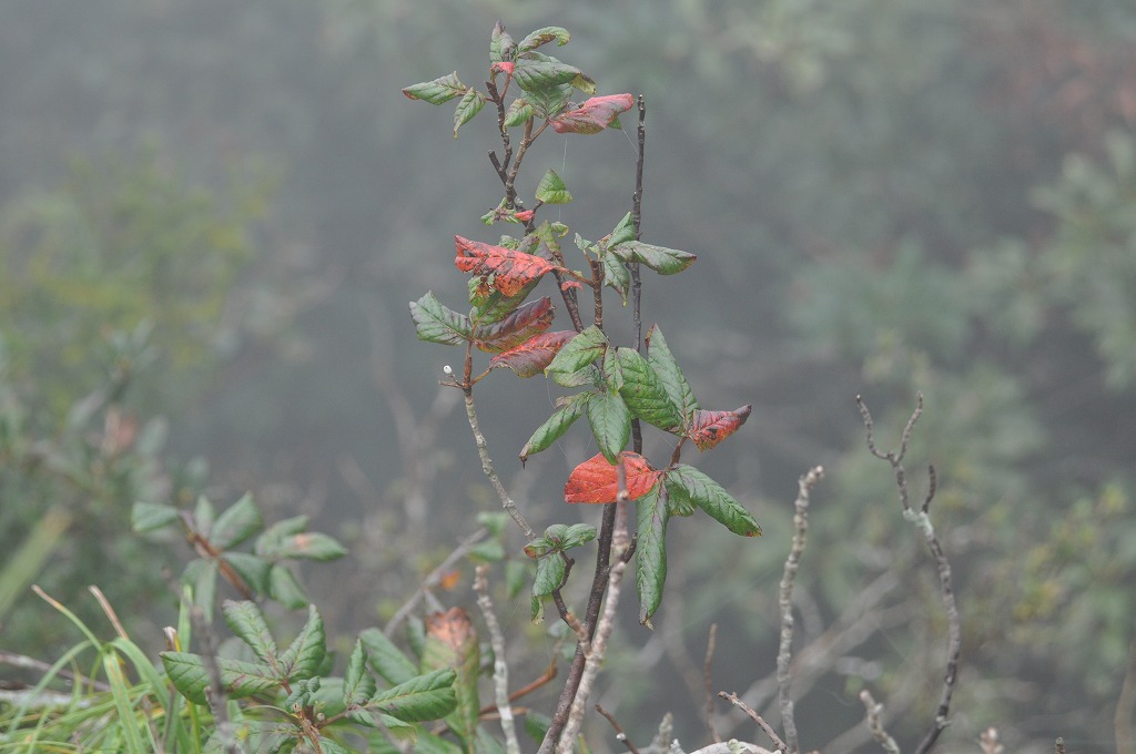 b0104861_19243999.jpg