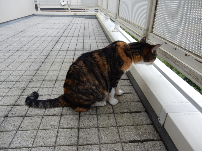 ’15,9、4(金)勝浦海中展望台に行ってきたYO!_f0060461_13195825.jpg
