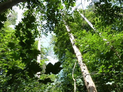 a0133563_05393010.jpg