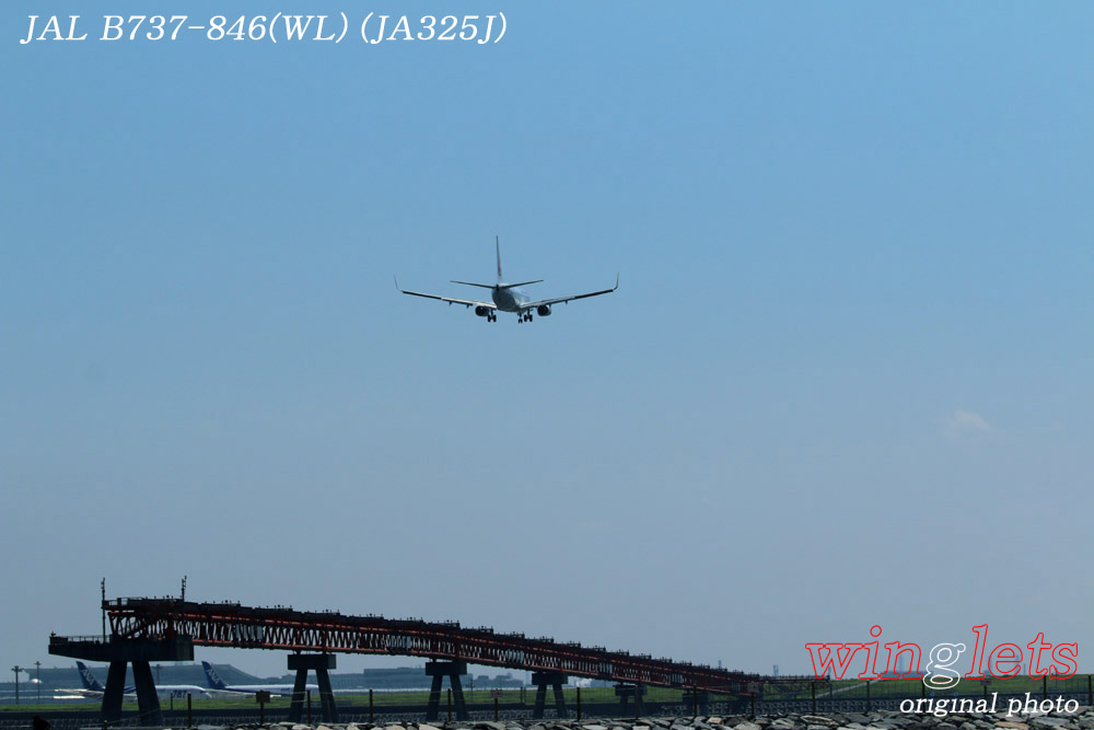 ‘15年 城南島・海浜公園ﾚﾎﾟｰﾄ･･･ＪＡＬ／ＪＡ３２５Ｊ_f0352866_1615662.jpg