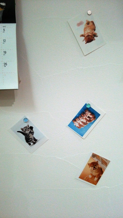 c0064678_1116476.jpg