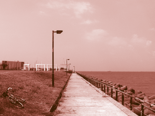 c0095679_14263627.gif