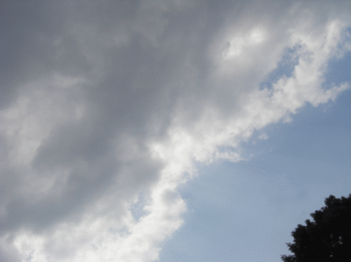 c0095679_14350905.gif
