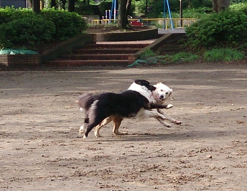b0136381_14384275.jpg