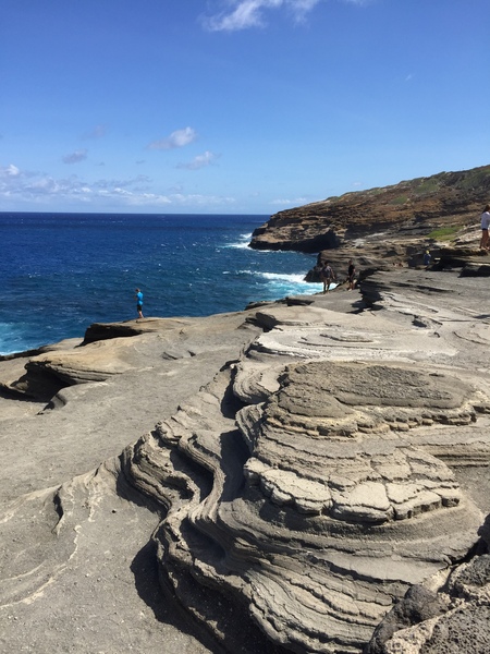 ハワイ旅2015④billsでパンケーキの朝食、カイルアタウン～カハラモールへドライブでWholeFoodsハシゴ!_c0180581_12593362.jpg