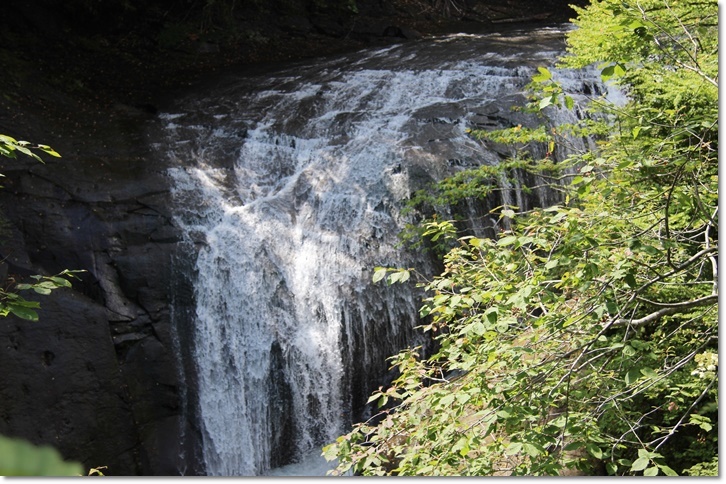 f0146493_15163922.jpg