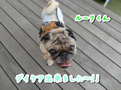 a0338800_22403558.jpg