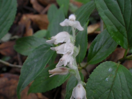 f0187402_2028843.jpg