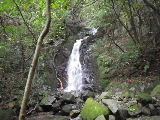 f0187402_20294583.jpg