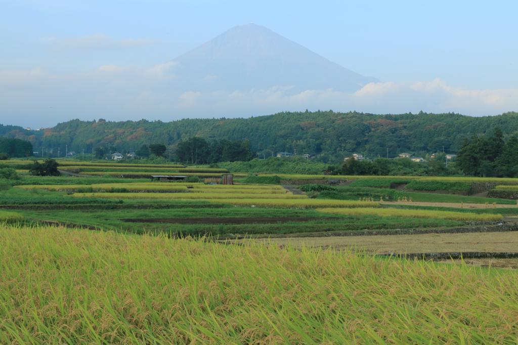 a0188405_17063125.jpg