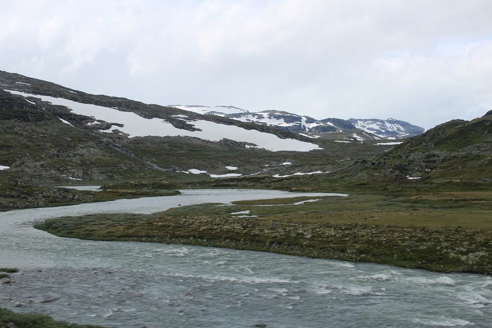 c0178009_1528263.jpg