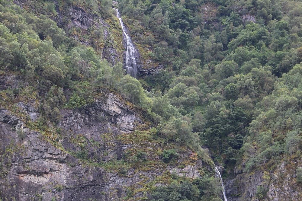 c0178009_1654918.jpg
