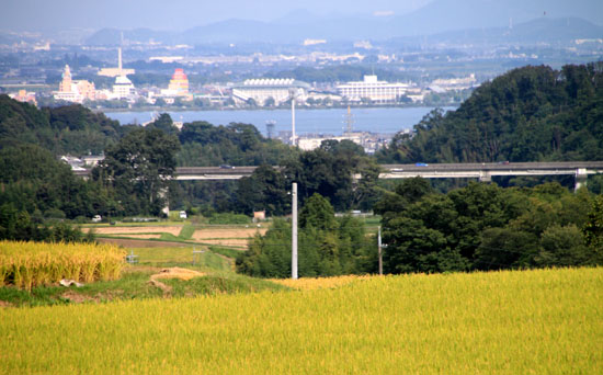 棚田の稲刈り_e0048413_2032260.jpg