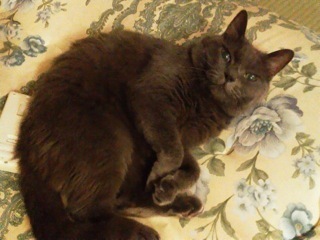 d0046821_21084549.jpeg
