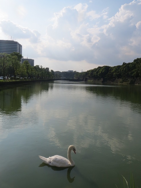 e0201021_23404489.jpg