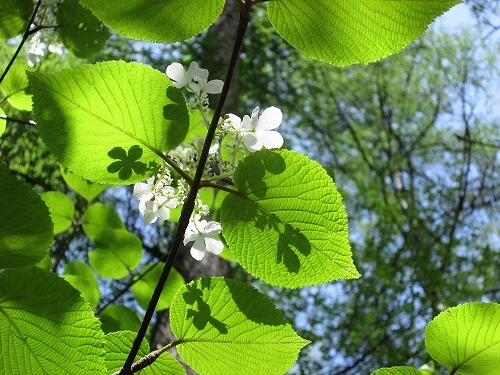 b0341527_21000936.jpg