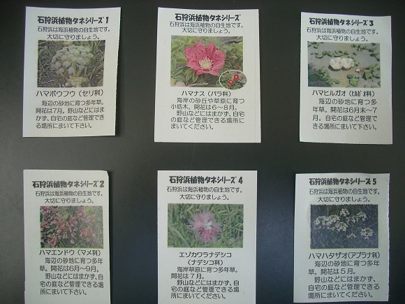 来館記念用の花の種_f0354435_11185678.jpg