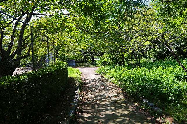 a0242438_19391070.jpg