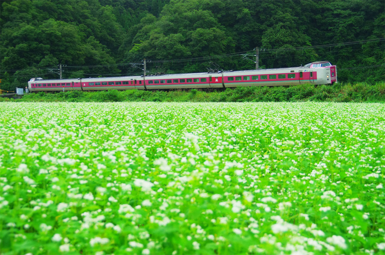 日野町上菅／蕎麦と八雲_f0227938_16412228.jpg