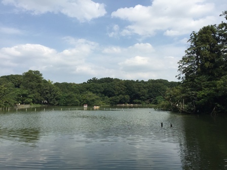 b0330040_18373390.jpg