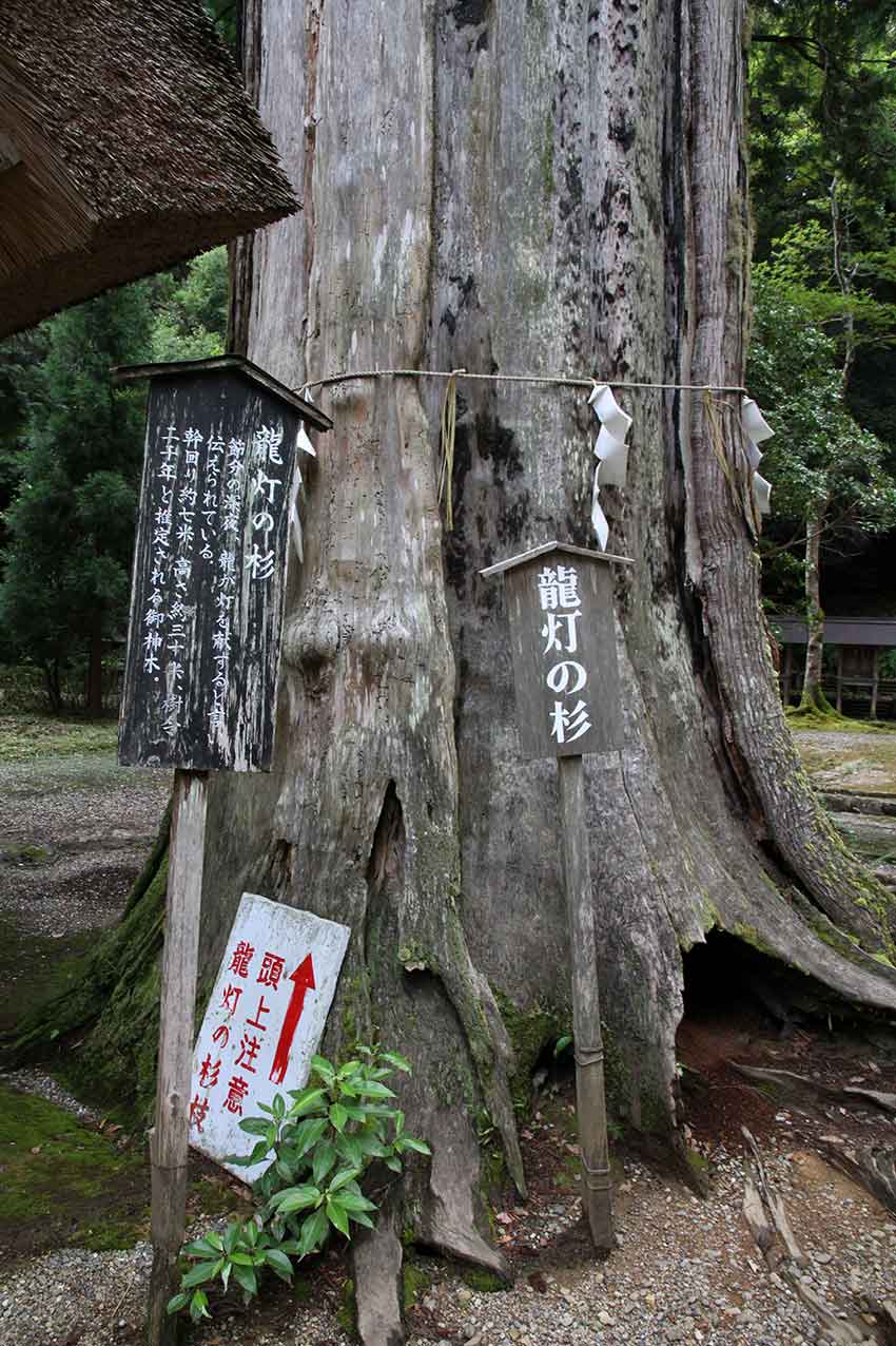 2015年丹後半島の旅-09♪皇大神社-2・天岩戸神社♪_d0058941_9153978.jpg