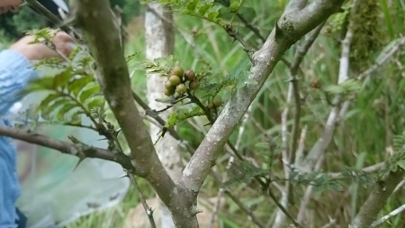 e0145441_12050383.jpg