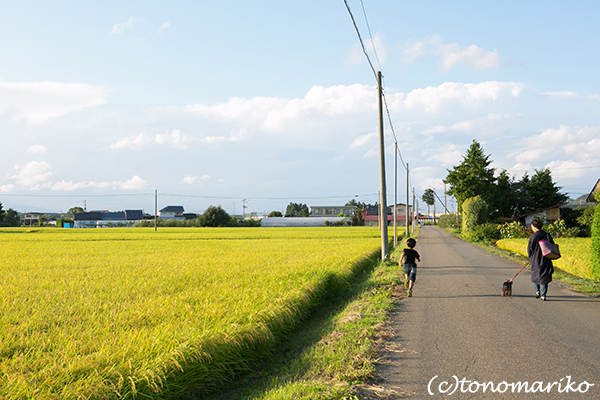 明日は東北ぼわっと最終日です_c0024345_20343737.jpg