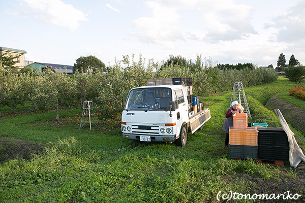 明日は東北ぼわっと最終日です_c0024345_20343750.jpg