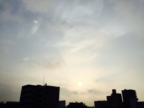 d0148449_11524777.jpg