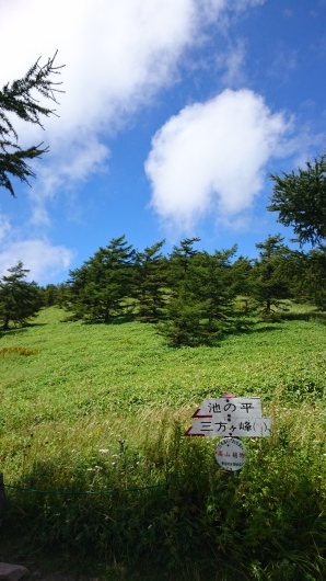 今日も元気に山登り♪_e0254750_20174617.jpg