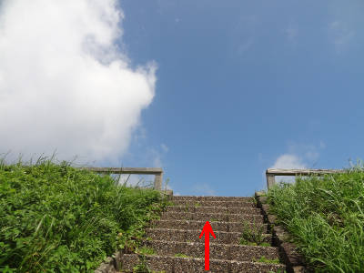 e0033751_19391095.jpg