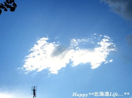 a0337860_01071856.jpg