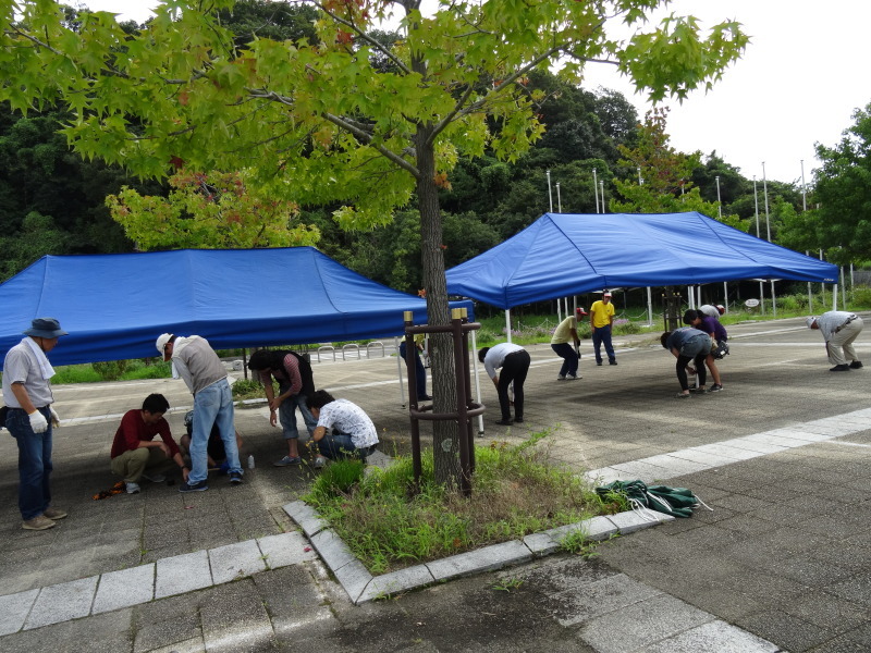 「第３回せんなん里海さくらフェス」の前日準備_c0108460_20091935.jpg