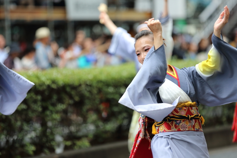 2015原宿スーパーよさこい_c0210275_18175260.jpg