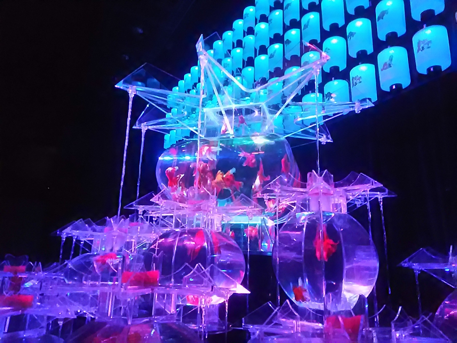 アートアクアリウム展 広島 金魚の祈り プーのママ 日々是好日